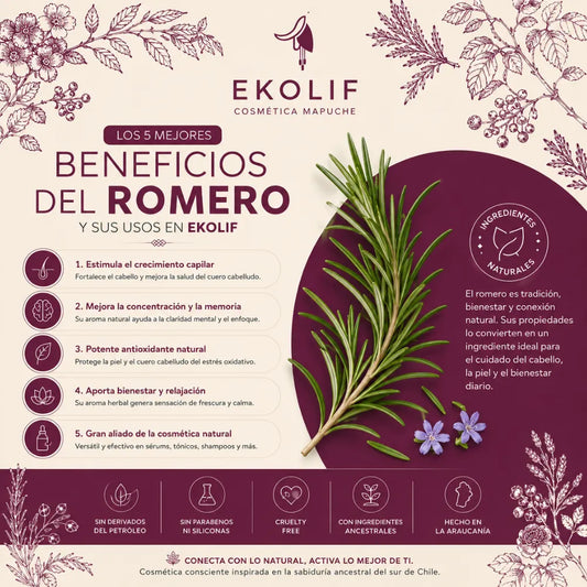 Los 5 Mejores Beneficios del Romero y sus Usos en EKOLIF