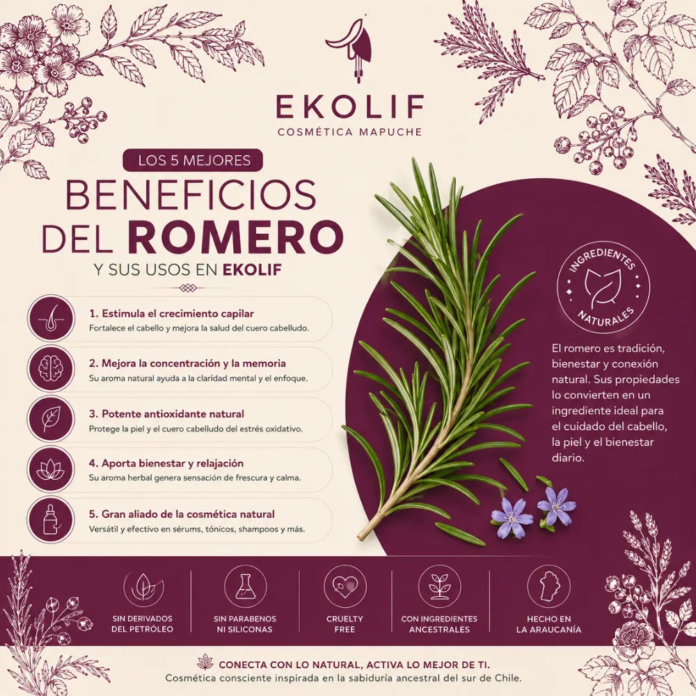 Los 5 Mejores Beneficios del Romero y sus Usos en EKOLIF